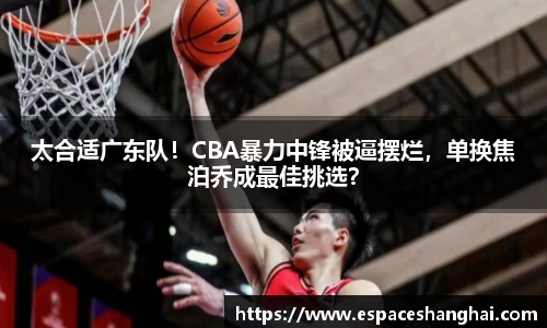 太合适广东队！CBA暴力中锋被逼摆烂，单换焦泊乔成最佳挑选？